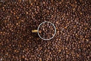 Nespresso Case Study: Teaching to Luxury Companies How to Manage a Business Model Portfolio