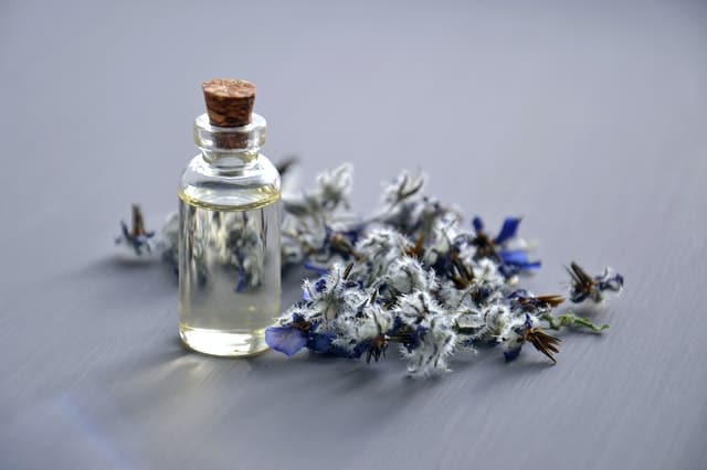How To Find Your Signature Scent: A Step-by-Step Guide – 440 Industries