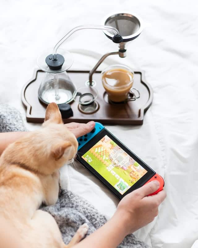 person playing animal crossing with pet on the lap